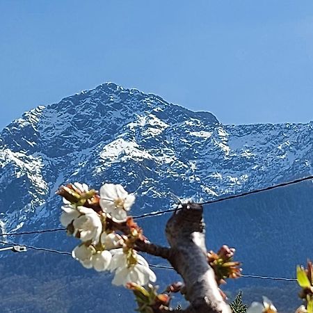 Villa Sole コーリコ エクステリア 写真